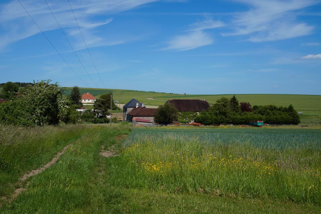 La Grille Fleurie, chambre d'hôte chez l'habitant Arthonnay Exterior foto